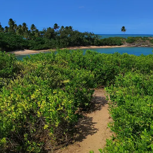 Preservação da ilha de santo aleixo