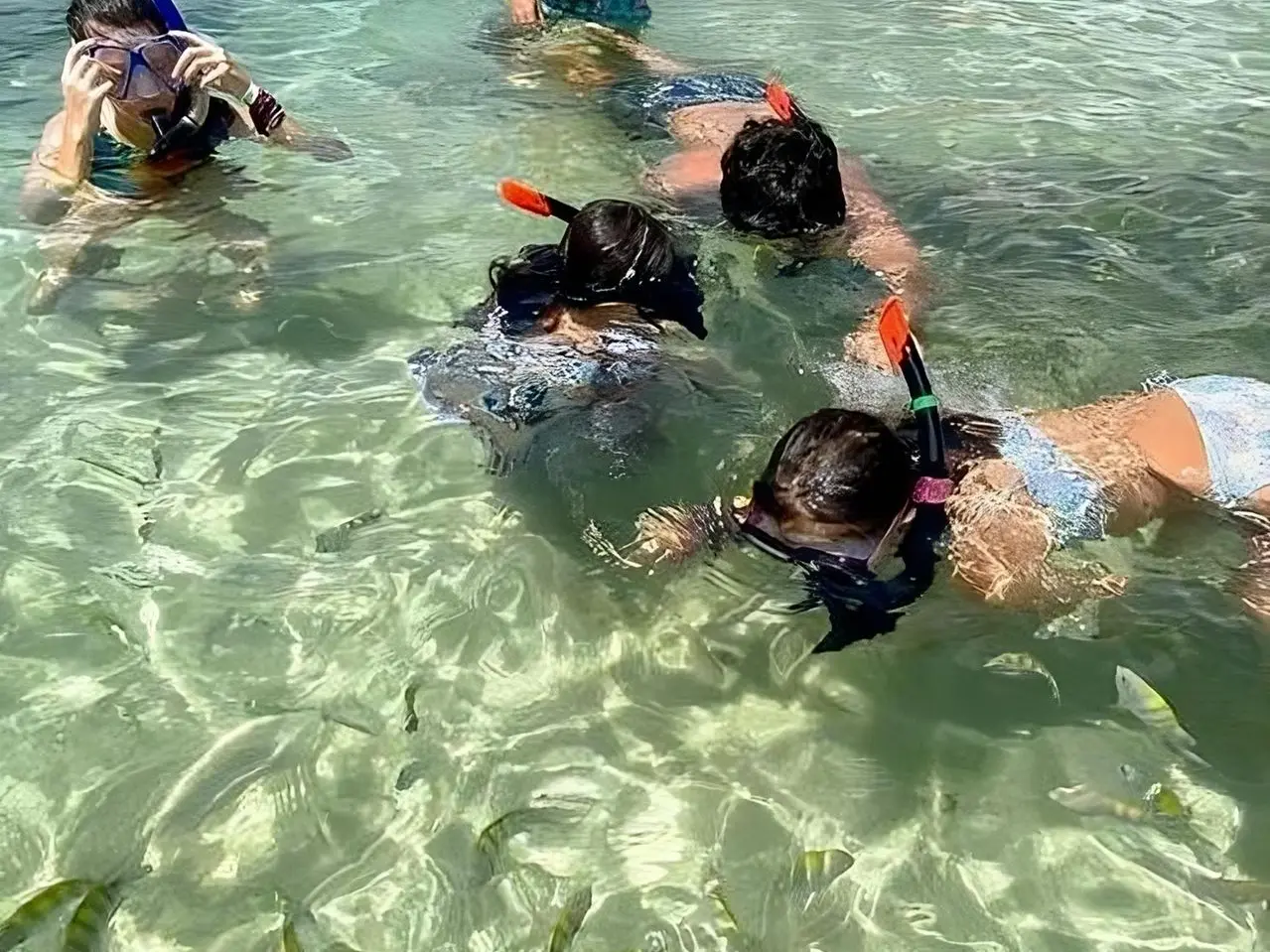 crianças mergulhando na Ilha de santo aleixo